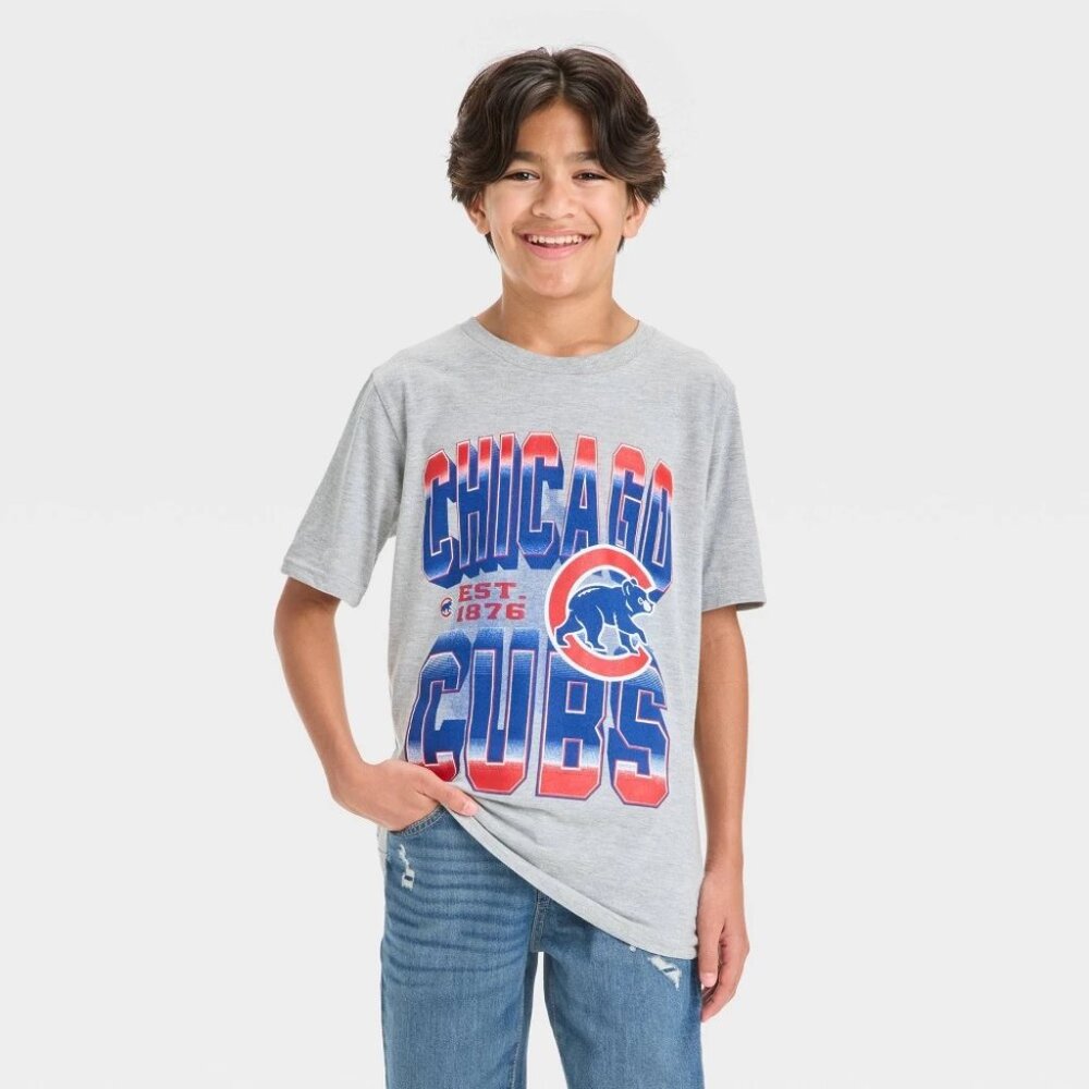 Boys' 4th of July MLB Chicago Cubs Short Sleeve Graphic T-Shirt - Gray XL